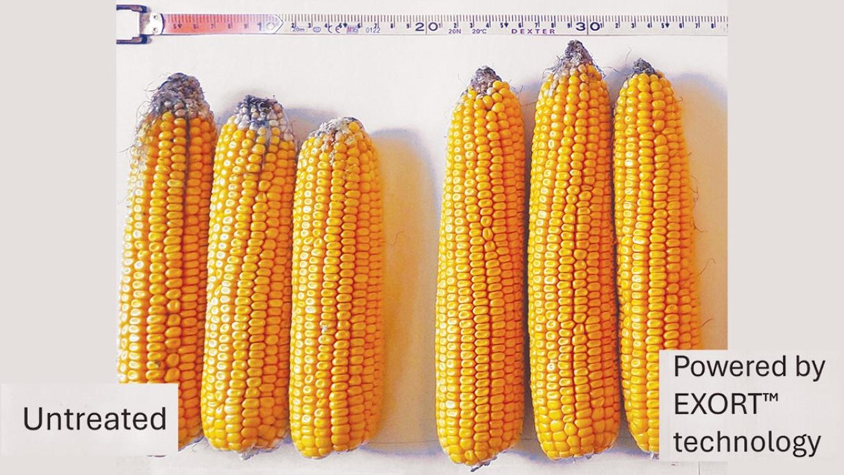 tecnologia agricultura.jpg